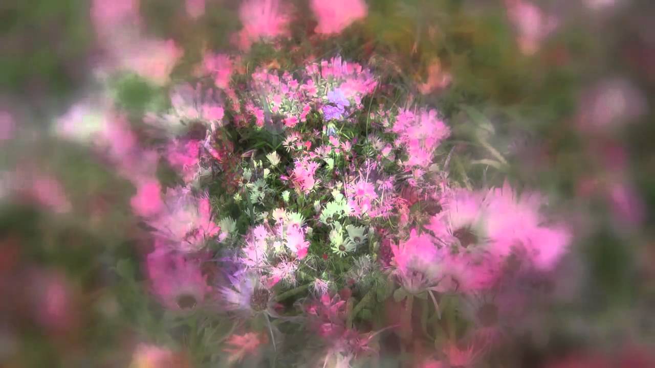 Chithira Poo Selai Song Lyrics | Pudhu Seruppu Kadikkum