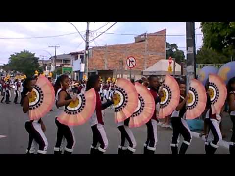 fampa pelotão coreografico