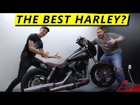 Harley Dyna vs Sportster! Is it a REAL HARLEY?