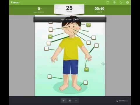 El Cuerpo Humano Para Niños Areaciencias