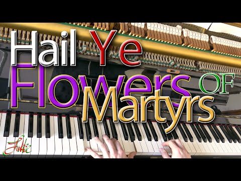 Hail Ye Flowers of Martyrs (The Brown Little Mallet) Kilmore Carols 🌟 416/1500 played by Luke Wahl