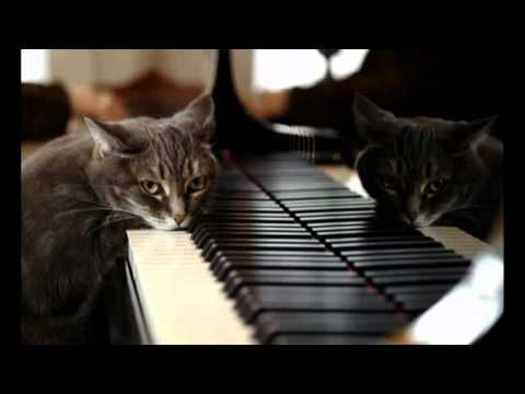 Waltz - Of The Rising Star