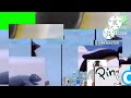 Pingu 10000000 Green Screen Walking