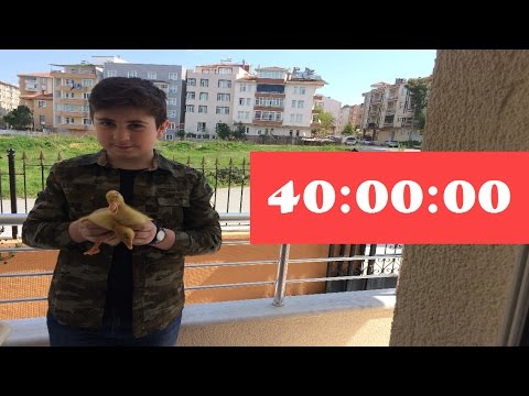 40 SAAT UYUMAMA CHALLENGE