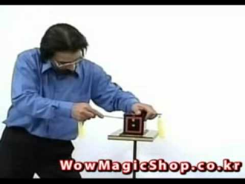 서프라징 도브박스 - surprising dove box