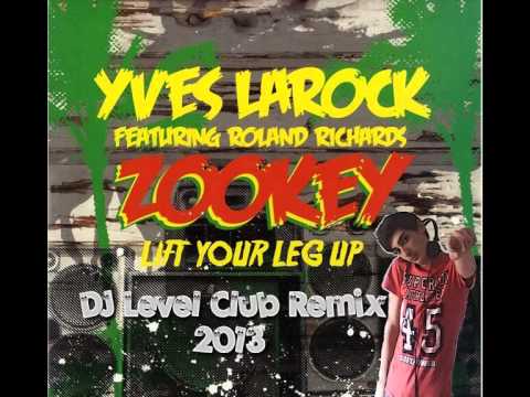 Yves LaRock - Zookey (DJ Level CLub Remix 2k13)