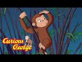 George Gets Lost In The Zoo Curious George Kids Cartoon Kids Movies