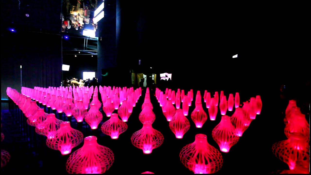 愛跳舞的電子草