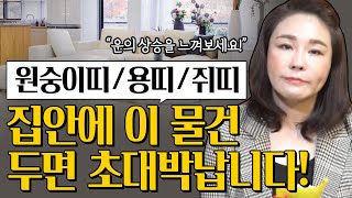 ※2022년 삼재띠※ 원숭이띠 쥐띠 용띠가 집에 놓으면 대박나는 물건 "두셔야 하는 것과 버리셔야 하는 것 확실히 알려드립니다! [유래보살]