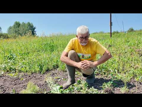 Вперед, товарищи! На дачу! Выпуск от 04.08.26