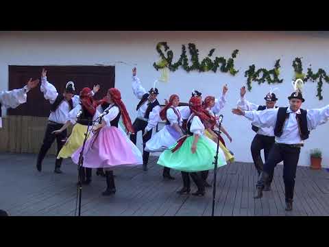 Setkání pod lipú 2018 - FS. Včelaran