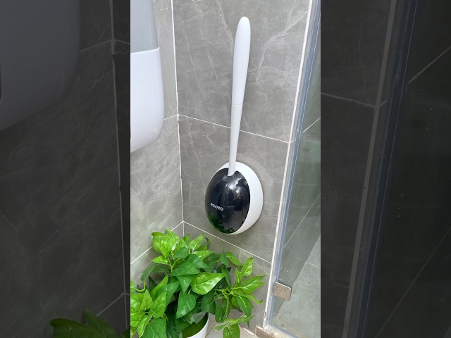 Vídeo relacionado con Zack Toilet Cleaning Brush, Stainless Steel, Black, One Size