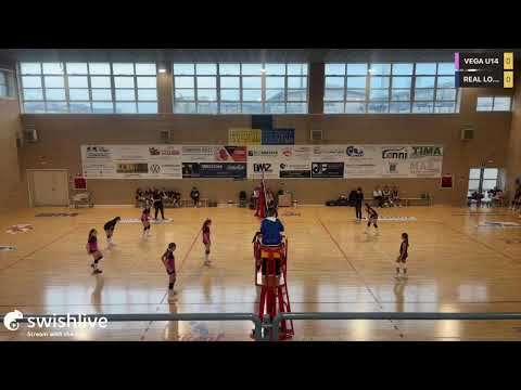 Vega U16 vs stadion volley 29/11/25 VEGA U14 VS REAL LONATO