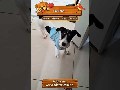 Vídeo de Pretinha 