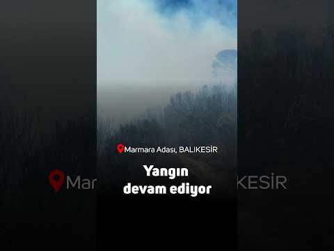 Marmara Adası'nda orman yangını: Yerleşim yerlerine yakın yangına müdahale sürüyor