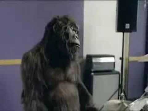 Cadburys Gorilla advert