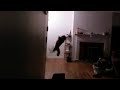 Cat Catches Bat Mid Air