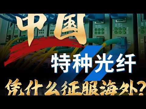 中国特种光纤涨价十倍，仍旧卖爆全球！它凭什么征服海外？ #全球创作者计划 #零基础看懂全球