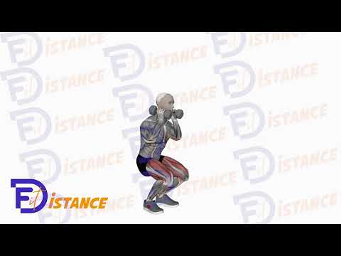 Squats avec haltères au niveau de l'épaule - Exercice Squats avec haltères au niveau de l'épaule en vidéo