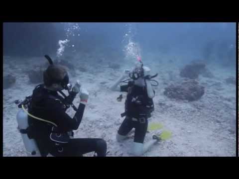 Lavika is diving ^_^