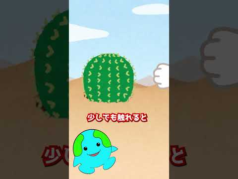 ゴールドイボタノキ 植物