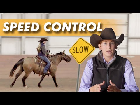 Teach your horse to lope SLOWER using this exercise!