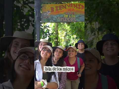 3 destinos en la selva amazónica que debes visitar🌎🌿