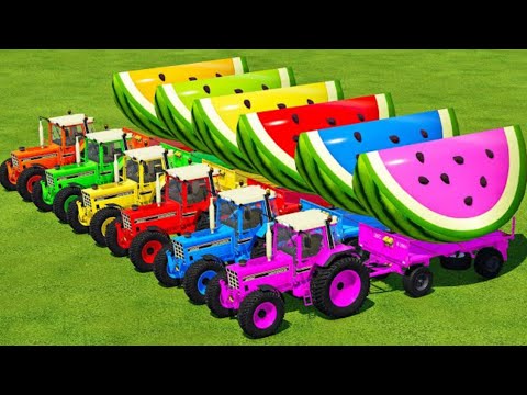 LOAD GIANT WATERMELONS _ TRANSPORTING WITH INTERNATIONAL TRACTORS - Farming Simulator 22🚍🎮🚔