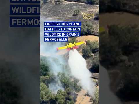 Firefighting plane battles to contain wildfire in Spain's Fermoselle #worldnow