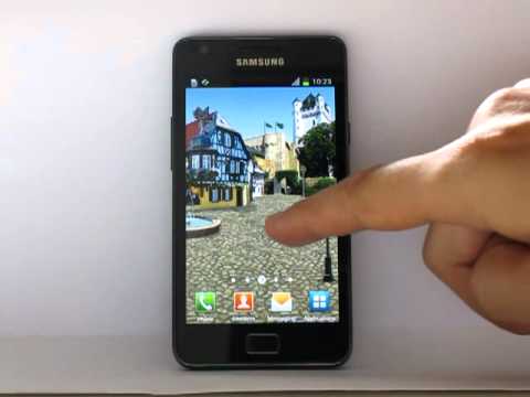 Castle Cat FREE Live Wallpaper Video