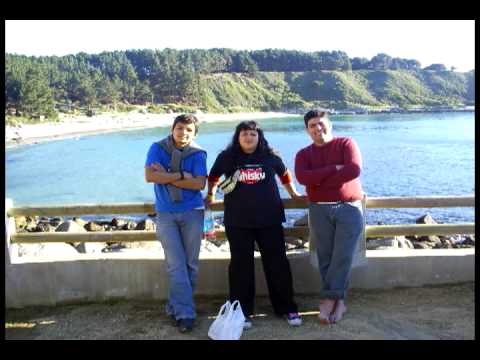 Fds Litoral Central 2007