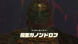 【実況】ゼルダの伝説 TEARS OF THE KINGDOMを喋りながらプレイpart68【RRR】