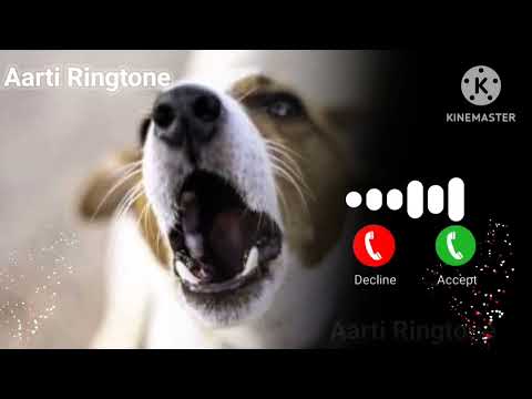 Cute dog sma ringtone notification dog broken ringtone notification dog sms tone ringtone
