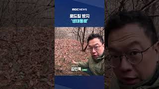 로드킬 방지 '생태통로'‥있는 곳 확실히 달라 #Shorts (MBC뉴스)