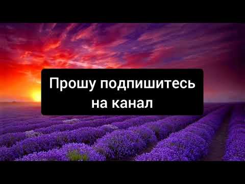 Glebova, Tribeat - а я мучаюсь от боли со своей любовью песня