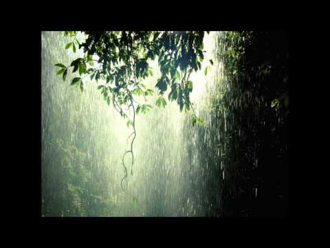 Wout Dingemans - Destinated