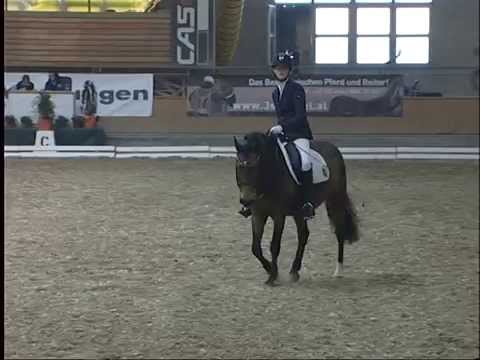 Van Dyke B, Junioren FEI Mannschaft, 4. Platz, Stadl Paura 12.4.2015