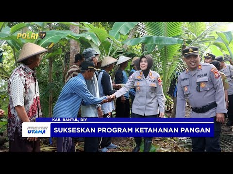 POLRES BANTUL LAKUKAN PANEN RAYA JAGUNG SUKSESKAN PROGRAM KETAHANAN PANGAN