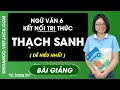Thạch sanh - Ngữ Văn 6 - Kết nối tri thức