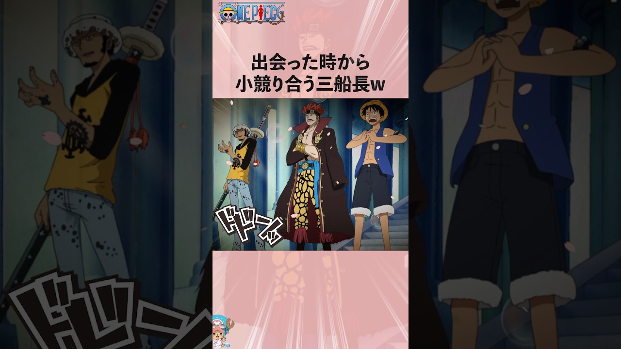 出会った時から小競り合う三船長w #onepiece #ワンピース #アニメ #雑学