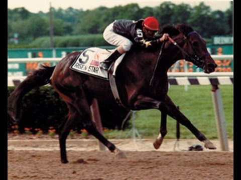 RISEN STAR - Belmont Stakes 1988