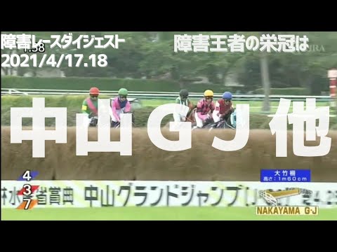 障害レースダイジェスト2021/4/17.18 #競馬障害レース#中山グランドジャンプ