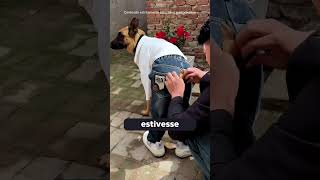 ESSE É O FAMOSO CACHORRO DE CALÇAS