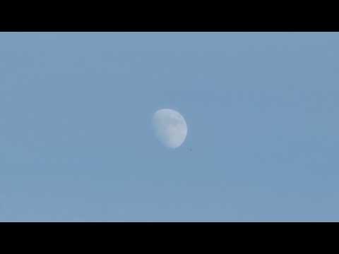 The Moon. La Luna. La Lune. #moon #sun #planets #stars #orion #sirius #pleadeis #mars #singularity