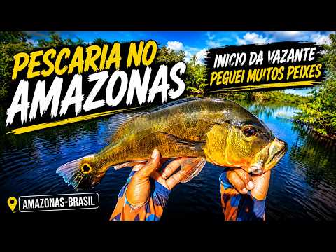 Pescaria no Amazonas Lago de Tefé, inicio da vazante e muito peixe.