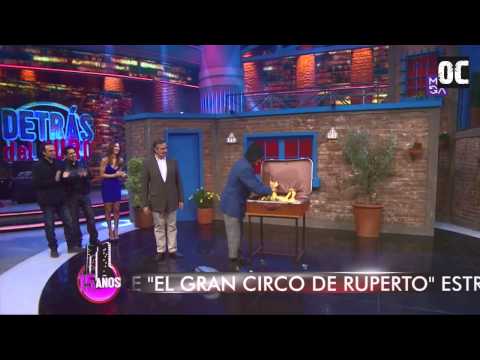 MCC - Los pollos cantores [Ruperto] HD