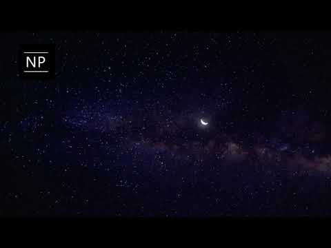 NAKTINĖS PERSONOS - Prašau atleisk