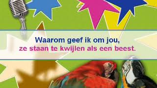 Andre Hazes -  Het rode licht ( KARAOKE ) Lyrics