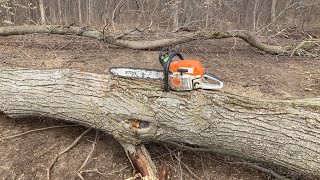 Clearing Land