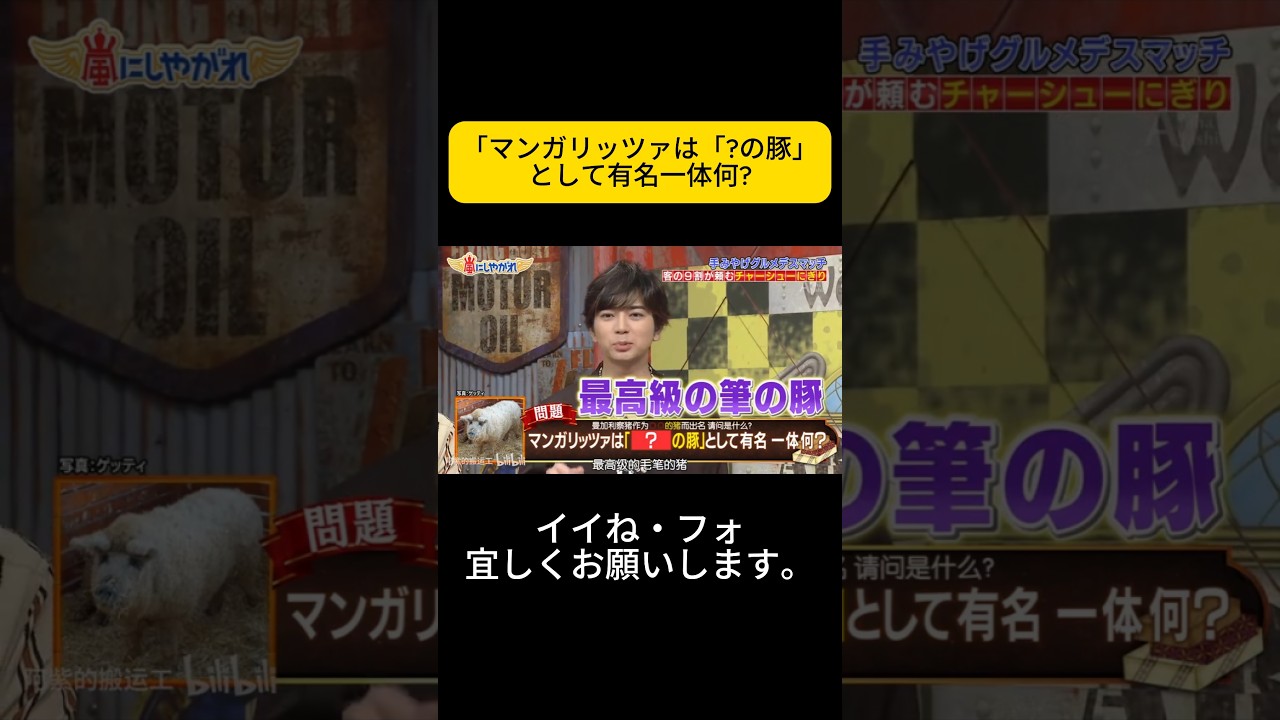 「マンガリッツァは「?の豚」として有名一体何? #嵐 #嵐にしやがれ #大野智 #二宮和也 #櫻井翔 #相葉雅紀 #松本潤